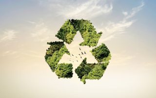 Best Sustainable Building Materials for Interior Design Moulding (or Molding) Today