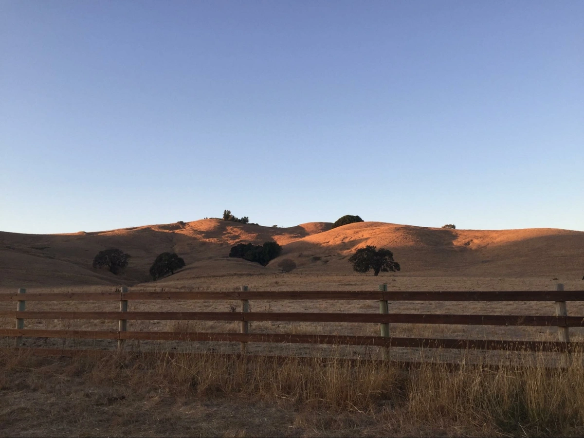 Location: Petaluma, Sonoma County, California, Wood Highlights: Fencing at a ranch