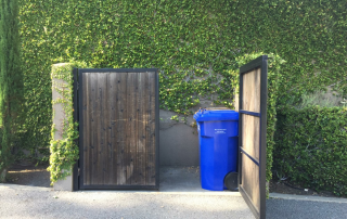 Image1