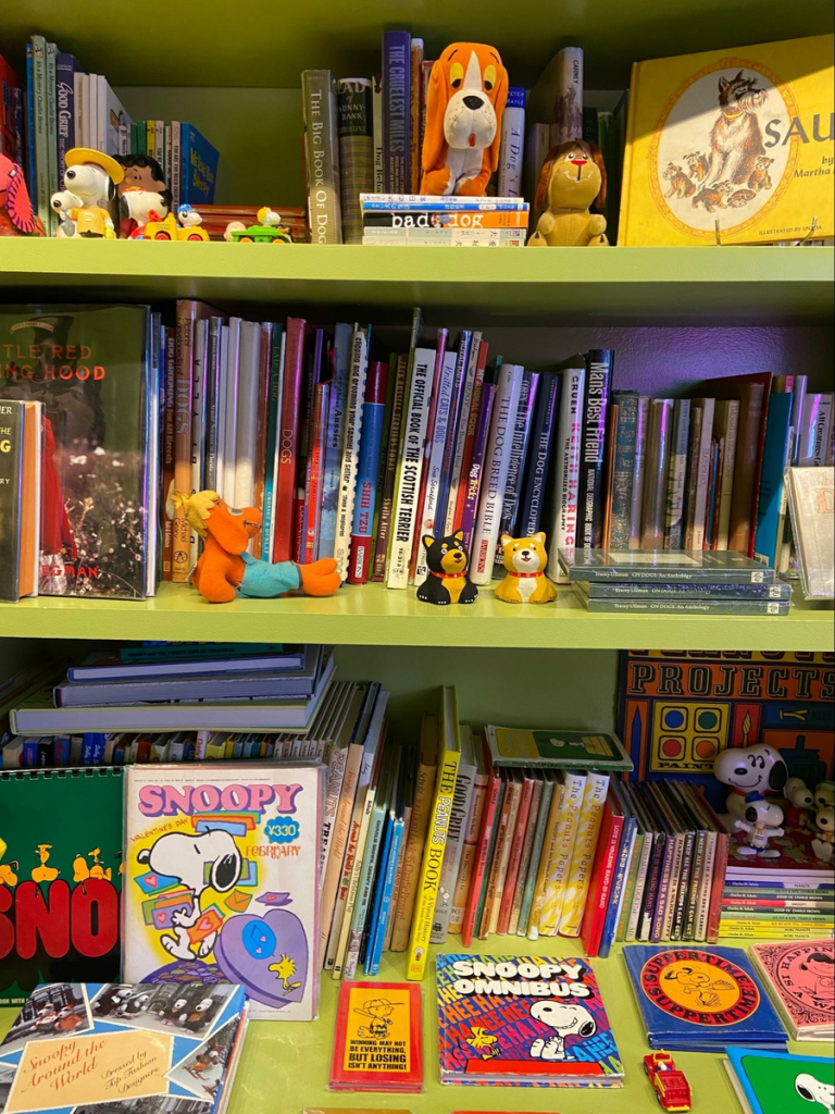 Wood Highlights: Playful S4S (surfaced four sides) boards provide the brightly painted base shelving for organizing books and toys